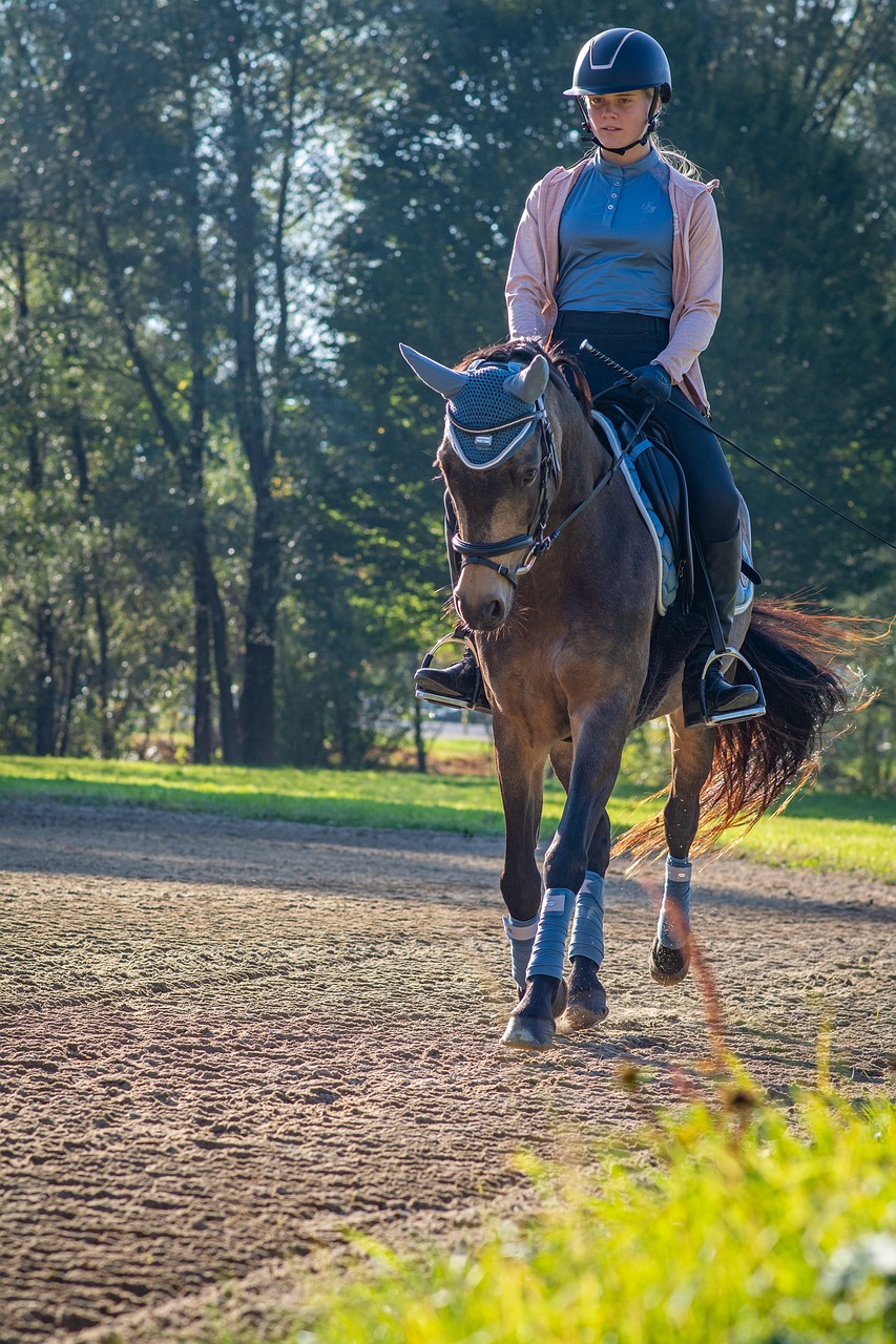 Comment choisir une couverture adaptée à votre cheval ?