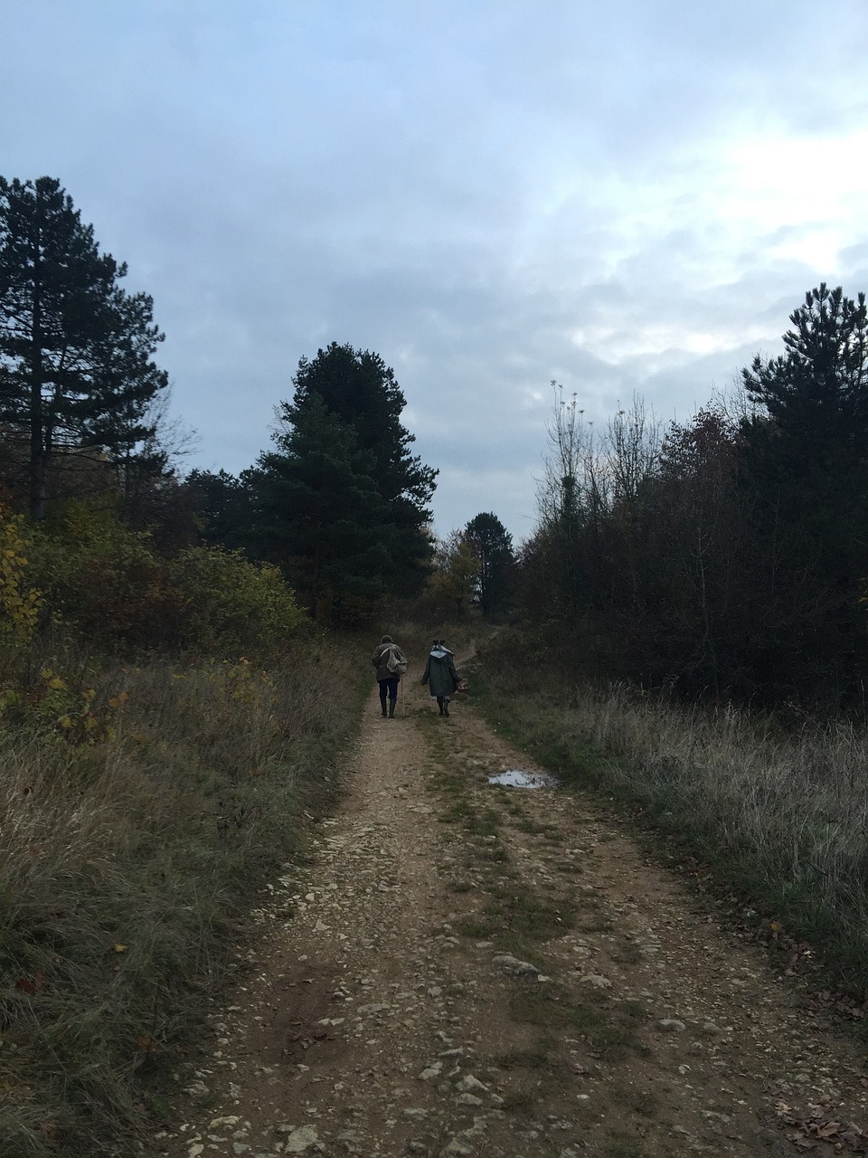 L’automne : une saison idéale pour organiser des randonnées à cheval